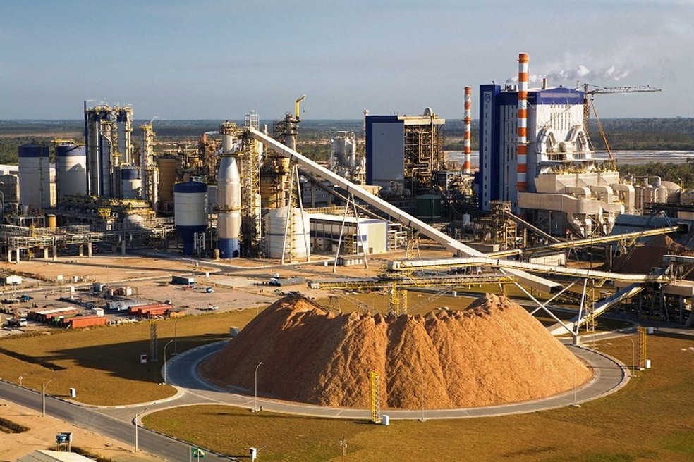 Suzano anuncia compra de produtora de papel Facepa por R$ 310 milhões