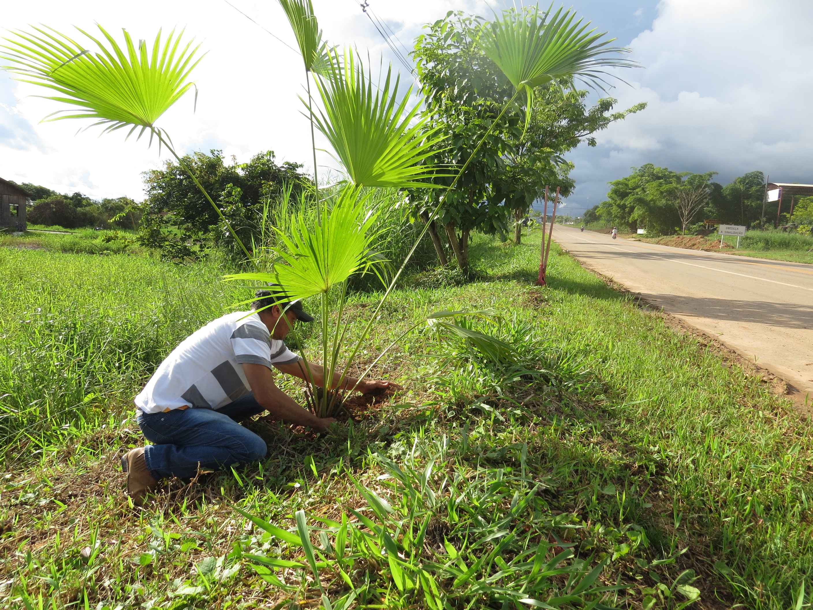 Prefeitura de Brasileia realiza trabalho de recuperação de ramal no KM 60