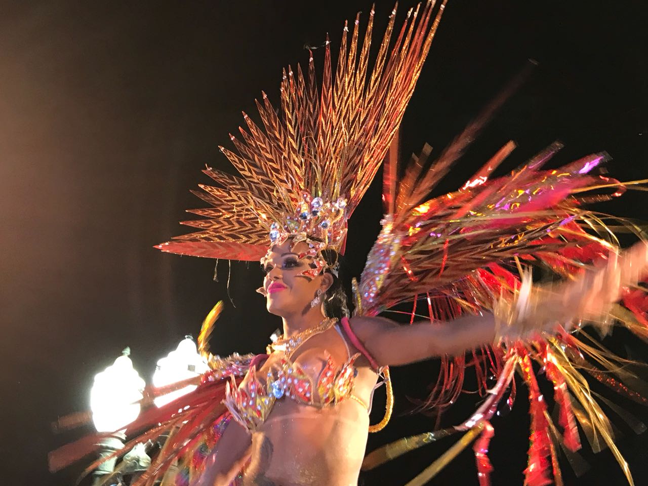 Brilho, dança e diversidade marcam a escolha da Realeza do Carnaval 2018