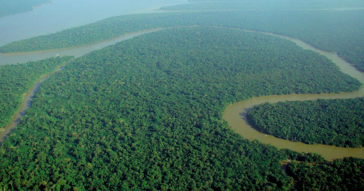 Fatos e mitos sobre agricultura e meio ambiente