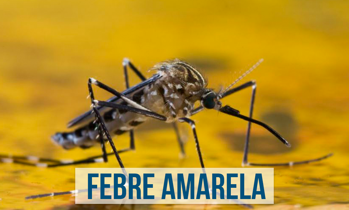 Caso de febre amarela é confirmado no Distrito Federal
