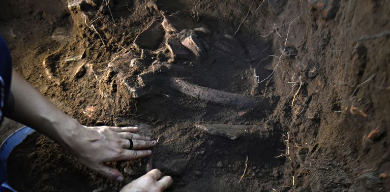 Instituto lança vídeos sobre a Amazônia pré-colonial