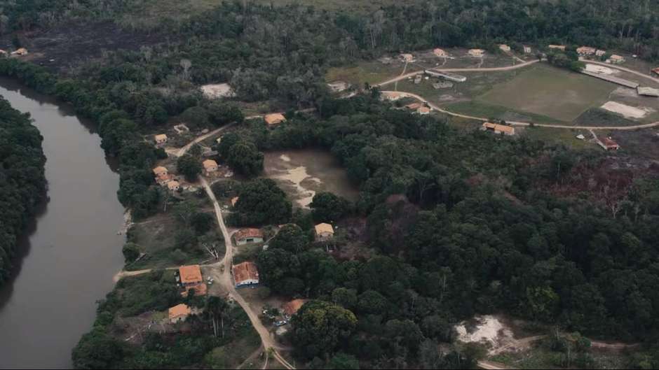 Google usa celulares antigos para monitorar desmatamento na Amazônia
