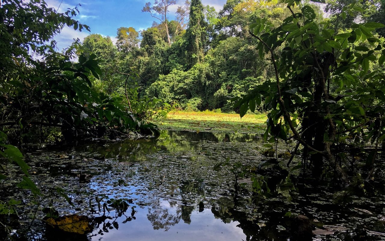 Biodiversidade do Lago do Amapá em Rio Branco é pauta de expedição científica