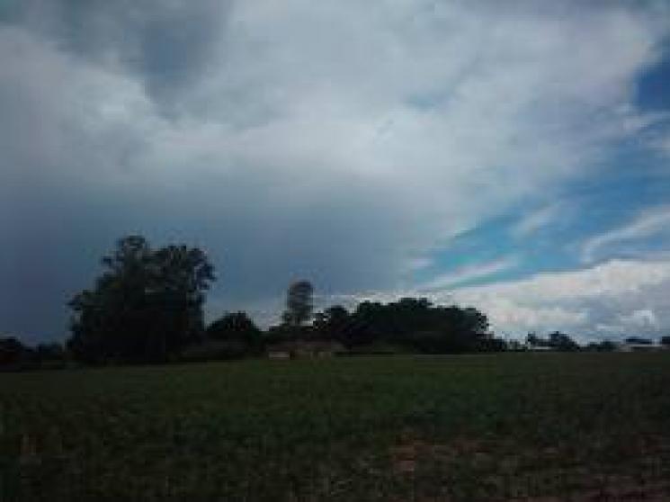 Domingo de clima abafado e possibilidades de chuva no Acre, prevê Friale