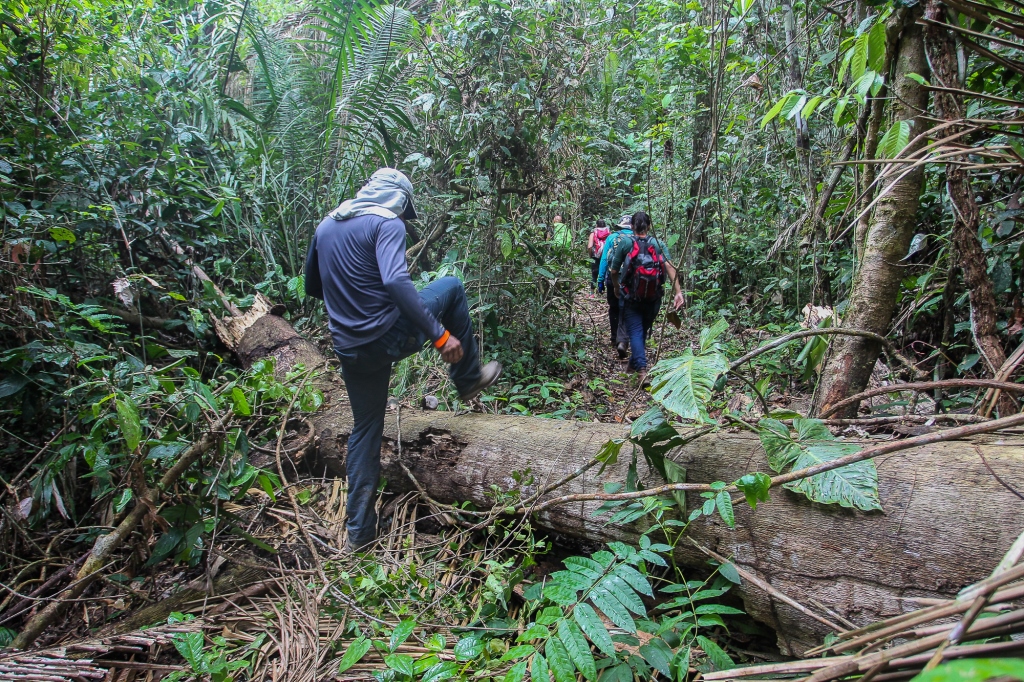 Rio Branco sedia seminário de turismo em Áreas Protegidas da Amazônia