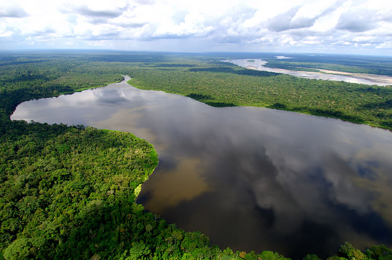 Descoberta na Amazônia enzima-chave para obtenção do etanol de segunda geração