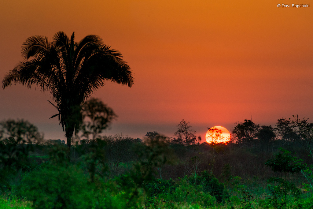 Terça-feira abafada e com muito sol no Acre; chuvas estão previstas para o interior