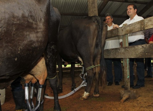 Sem dinheiro, governo do Acre põe à venda imóveis públicos e até vacas leiteiras