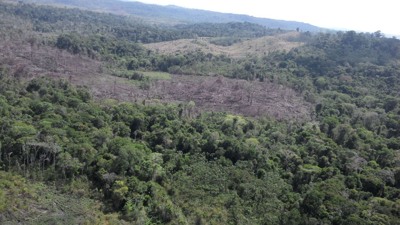 Desmatamento da Amazônia soma duas Alemanhas, diz relatório