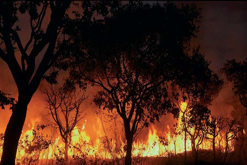 Amazônia é a maior afetada por queimadas em 2018