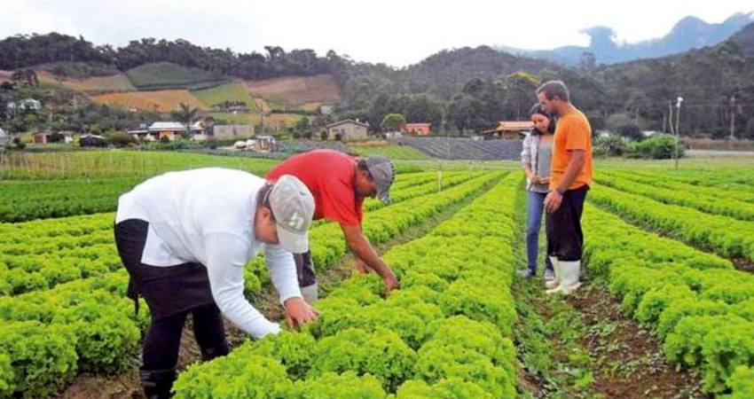 Agricultores do Acre poderão renegociar dívidas até o final de 2018