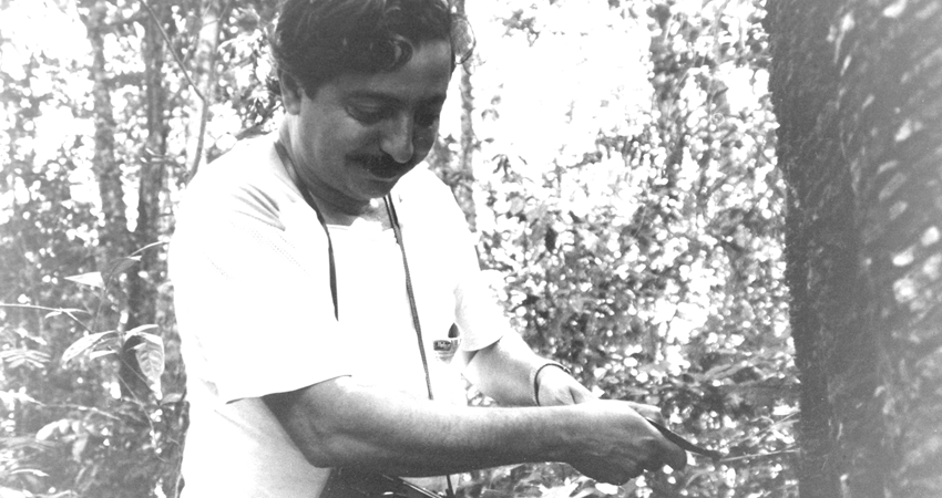 Revista Veja: “Legado de Chico Mendes agoniza com avanço da pecuária”