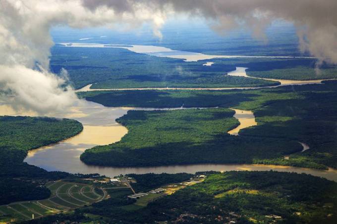Sustentabilidade da Amazônia é fator-chave para frear mudanças climáticas