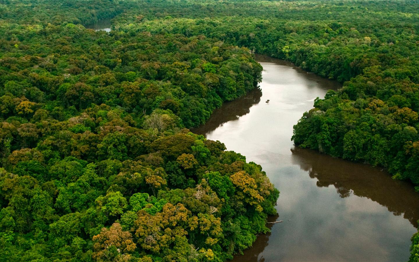 Lava-Jato da Floresta: força-tarefa pretende combater macrocriminalidade no estado do Acre