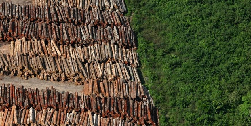 MPF cria força-tarefa para atuar em reparações por desmatamento na Amazônia