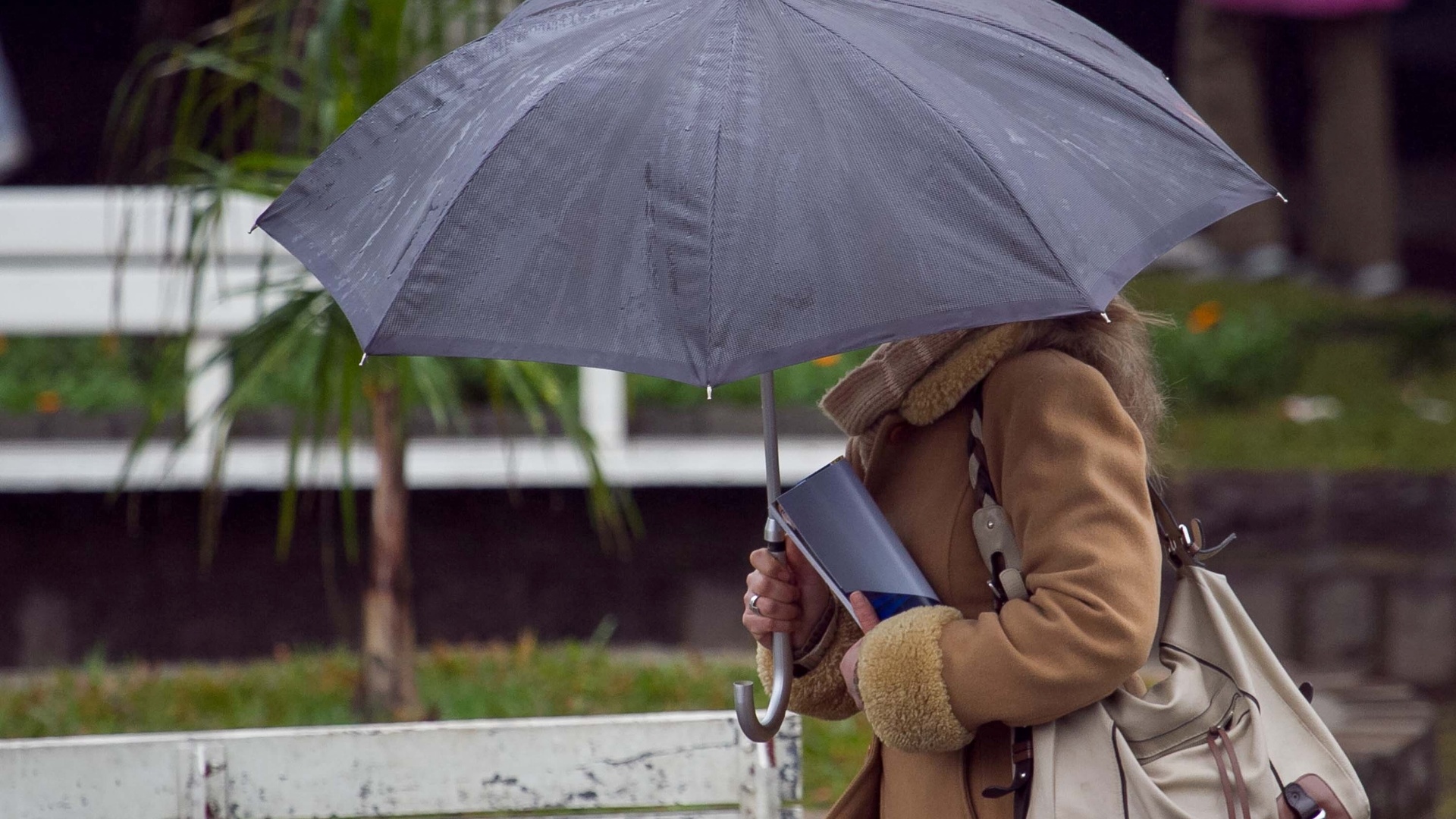 Chegada de leve frente fria deixa tempo instável no Acre; sábado deve ser de chuvas Chegada de leve frente fria deixa tempo instável no Acre; sábado deve ser de chuvas