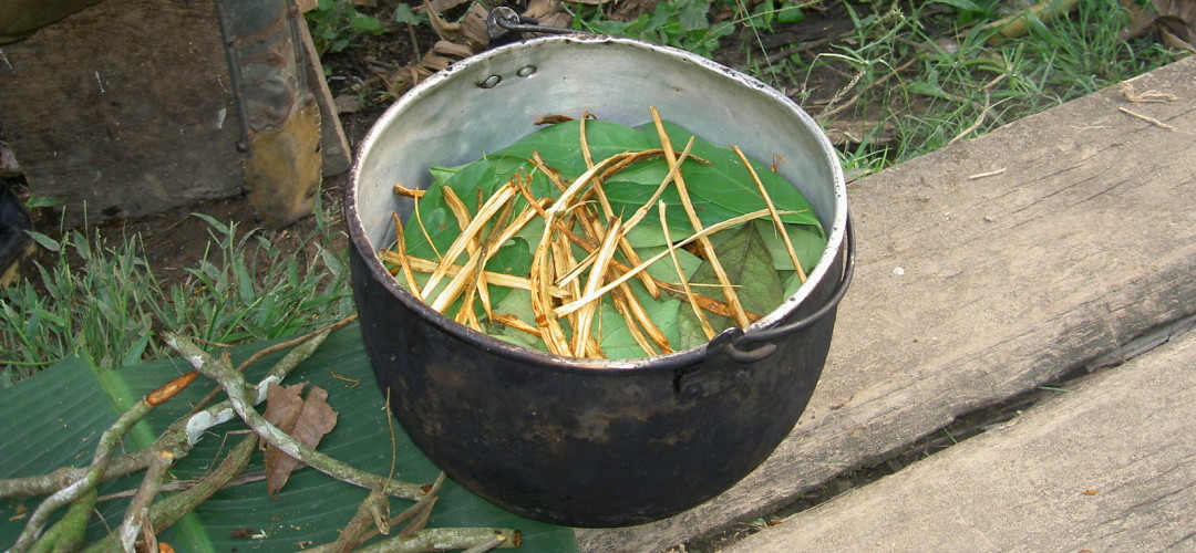 Dia da Cultura Ayahuasqueira é instituído no Acre; “Mais visibilidade ao movimento”, diz mestre da União do Vegetal