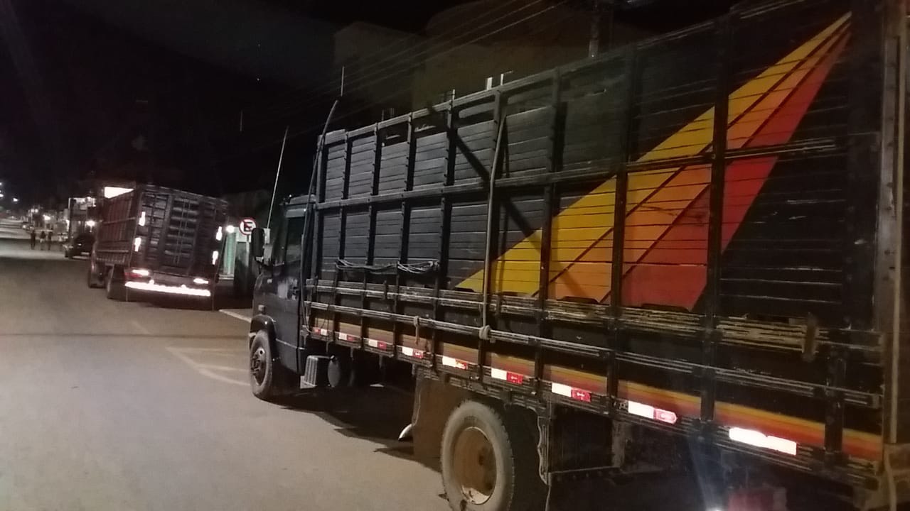 No interior, trio é preso transportando gados furtados do Acre para Bolívia