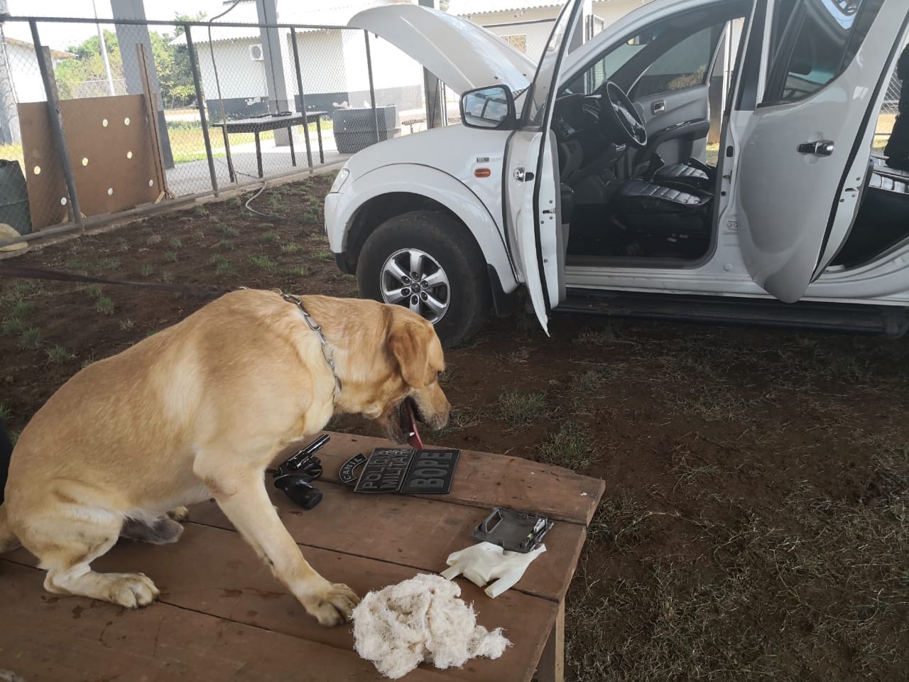 Com auxílio dos cães farejadores, PM apreende duas armas de fogo no bairro Canaã