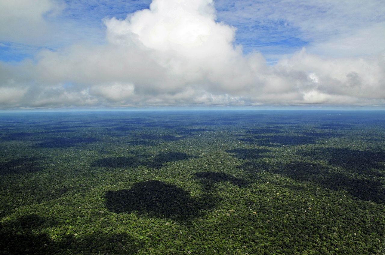Povos de 4,5 mil anos cultivavam plantações sustentáveis na Amazônia