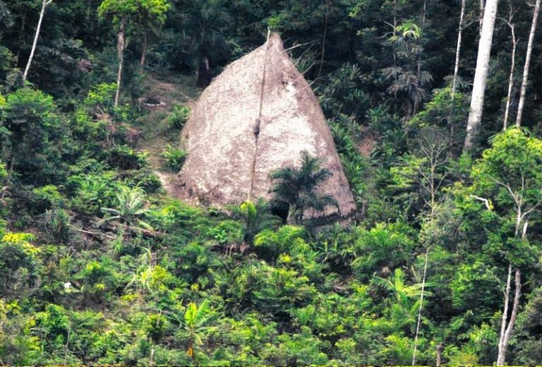 MPF pede que Funai exonere pessoas em processos de demarcação de Terras Indígenas no AC