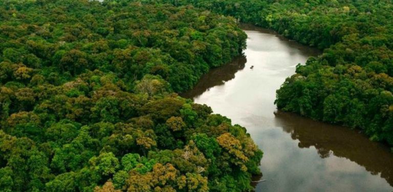 Senado vota liberação de recursos para terras indígenas e combate a Covid-19 em aldeias