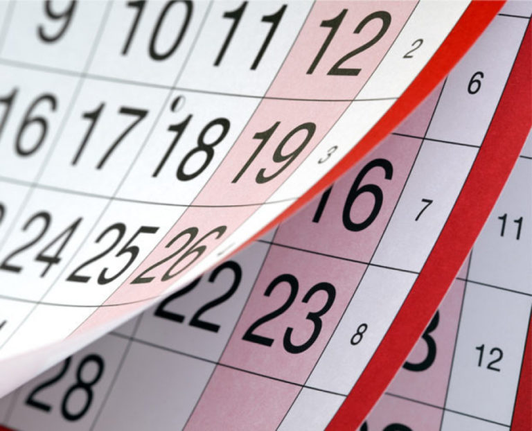 Dia do Servidor é transferido e emenda com Dia de Finados; veja o que que abre e fecha