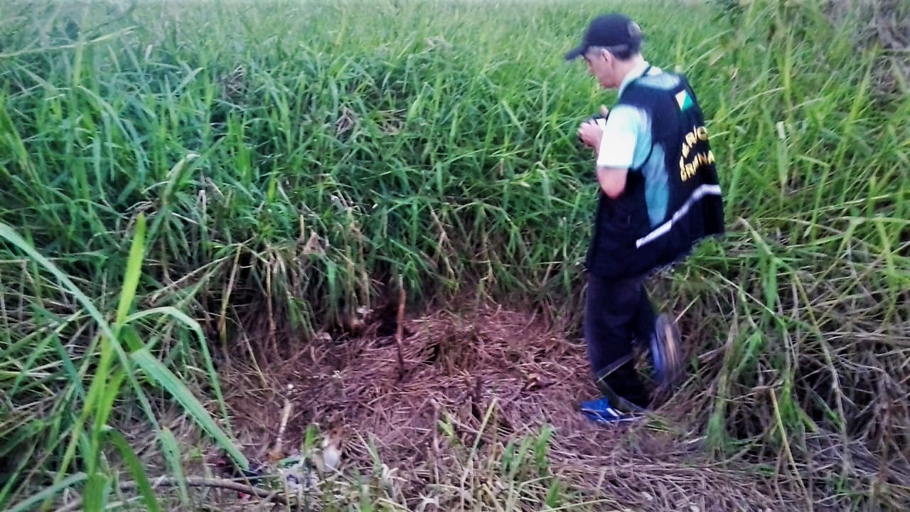 Polícia Militar localiza ossada humana e familiares de jovem desaparecida reconhecem vestido
