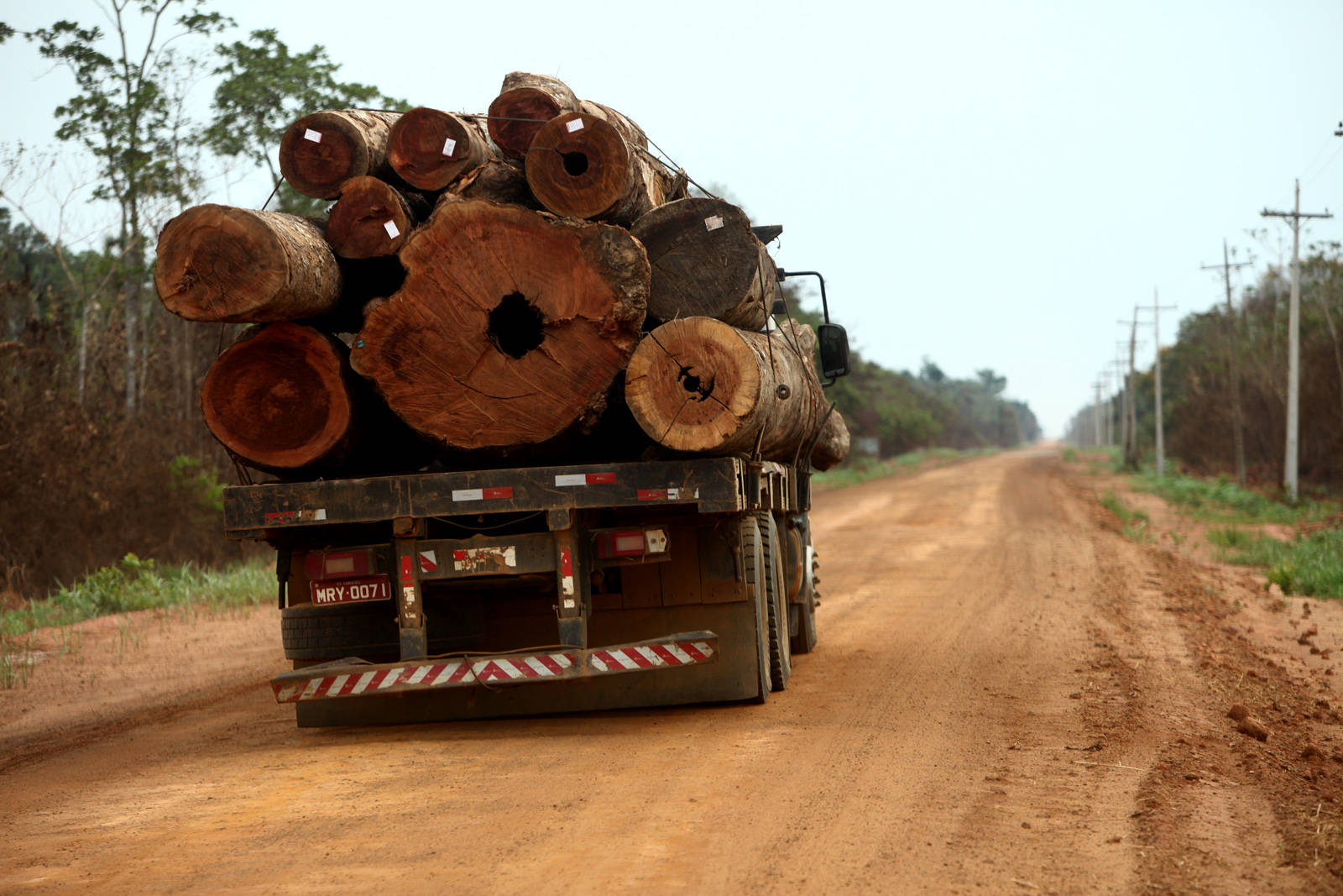 MPF cria força-tarefa para combater crimes dentro da Amazônia Legal