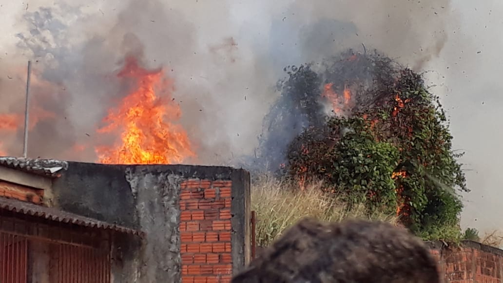 VÍDEO: Incêndio se propaga rápido e quase atinge área residencial no Doca Furtado
