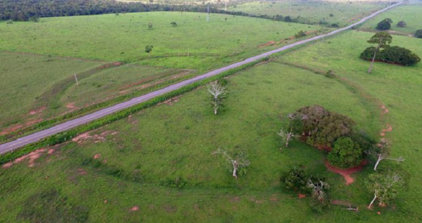 Geoglifos descobertos no Acre mostram que estado era habitado há mais de 2 mil anos