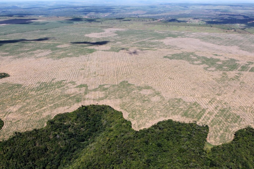 Multinacional americana segue impune por crime ambiental na Amazônia