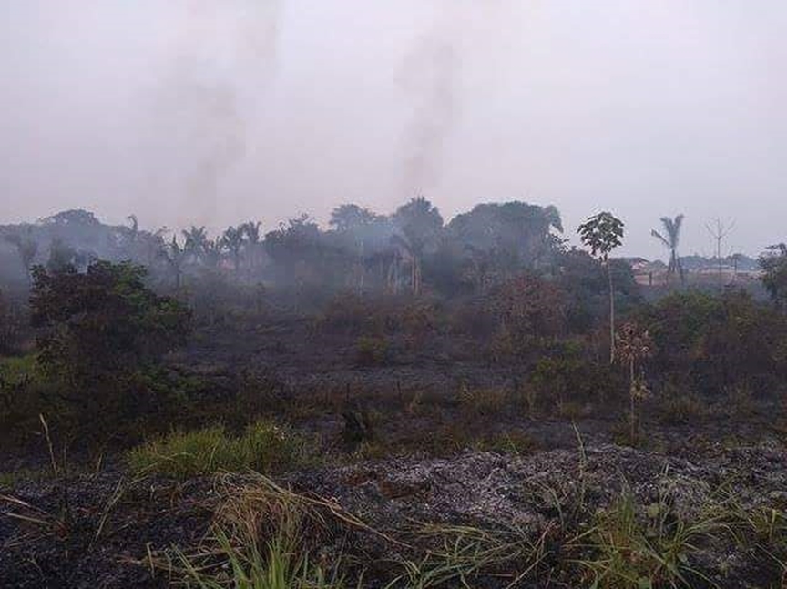 Incêndio destrói mais de 30 hectares da Reserva Cinturão Verde, em Feijó