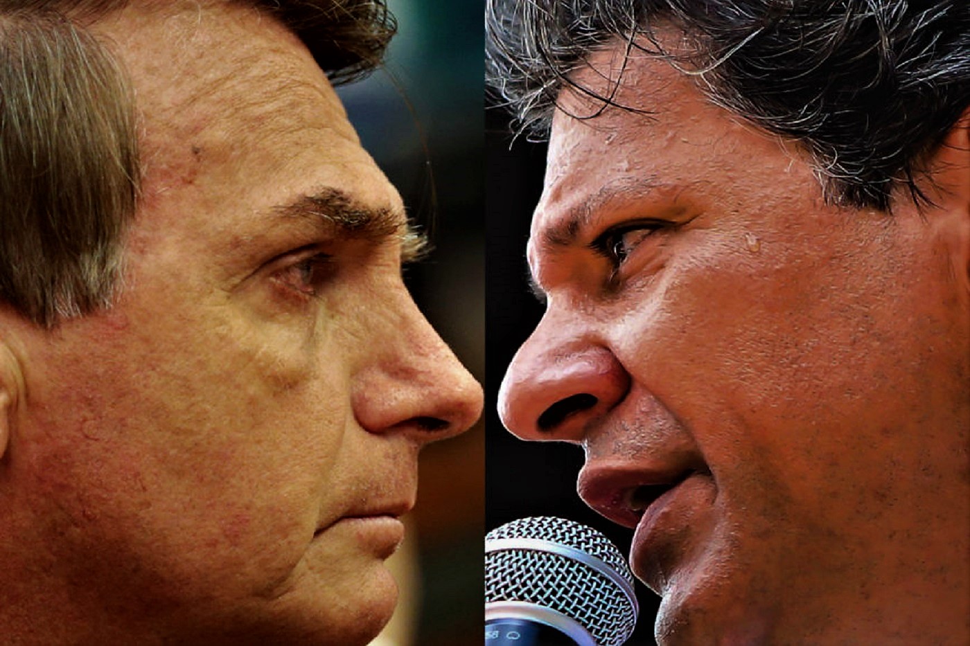 Bolsonaro ou Haddad? As propostas de cada um e as opiniões de jornalistas mal informados
