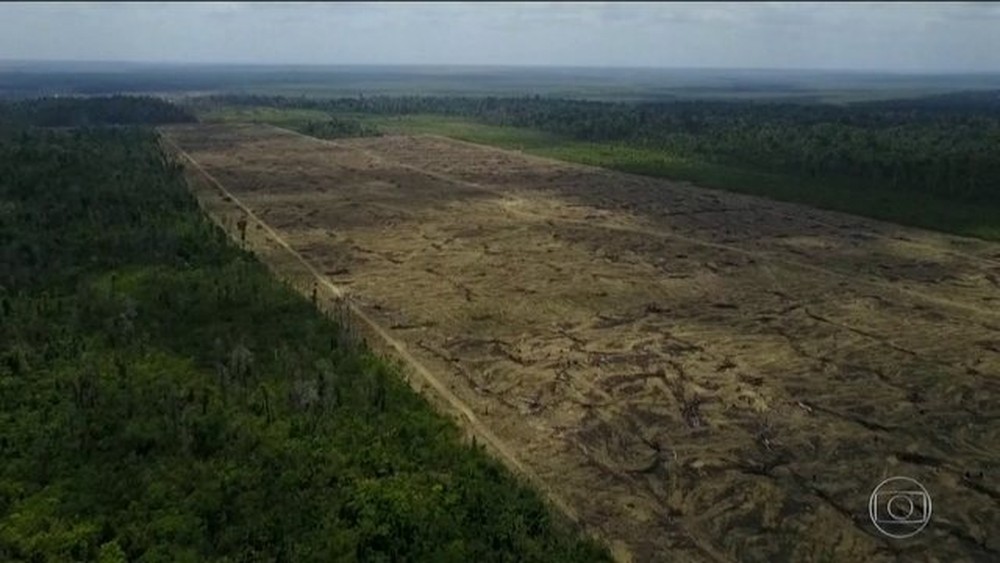 Amazônia perdeu 20% desde 1970 e Cerrado, 50%, aponta relatório