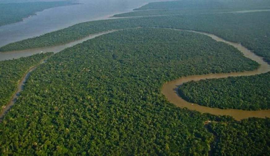 Bancadas da Amazônia Legal na Câmara têm renovação expressiva