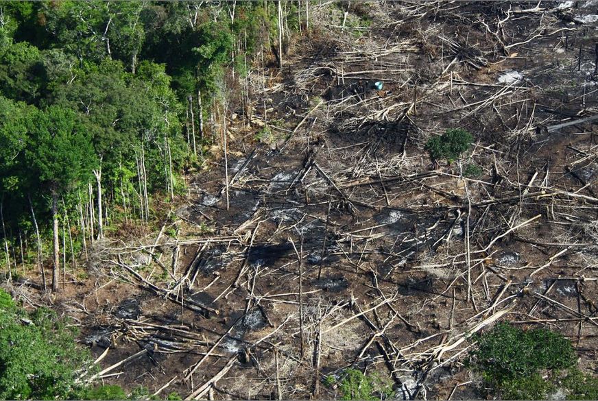 Com atenções voltadas às eleições, desmatamento na Amazônia aumentou