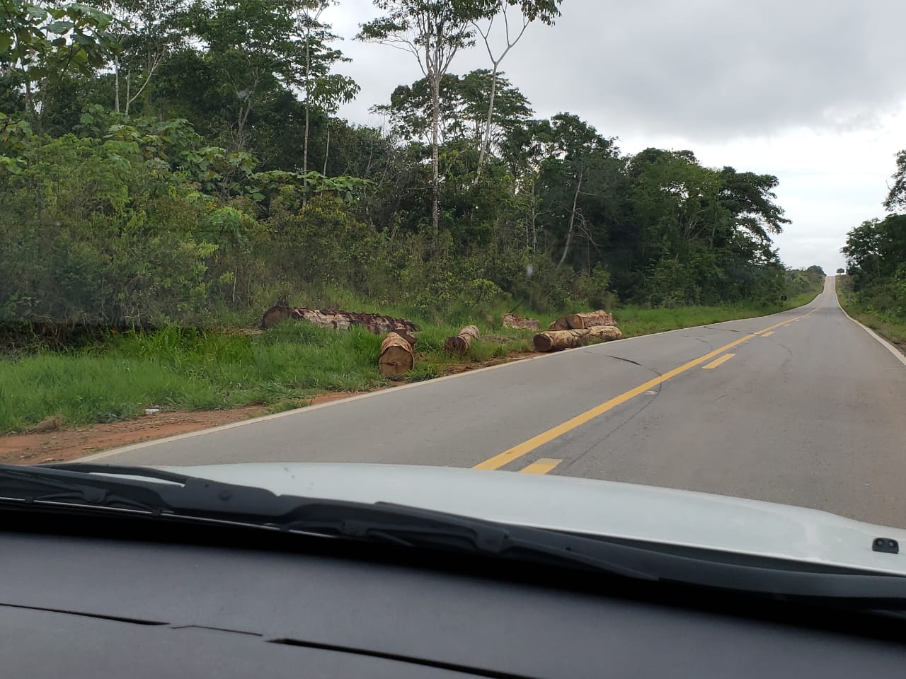 Toras de madeira que caíram de caminhão estão jogadas há mais de uma semana na estrada de Sena Madureira