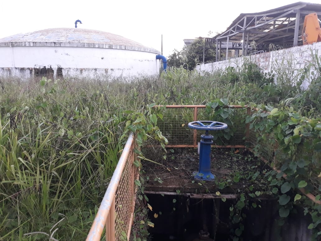 Unidade do Depasa está abandonada e servidores convivem com animais