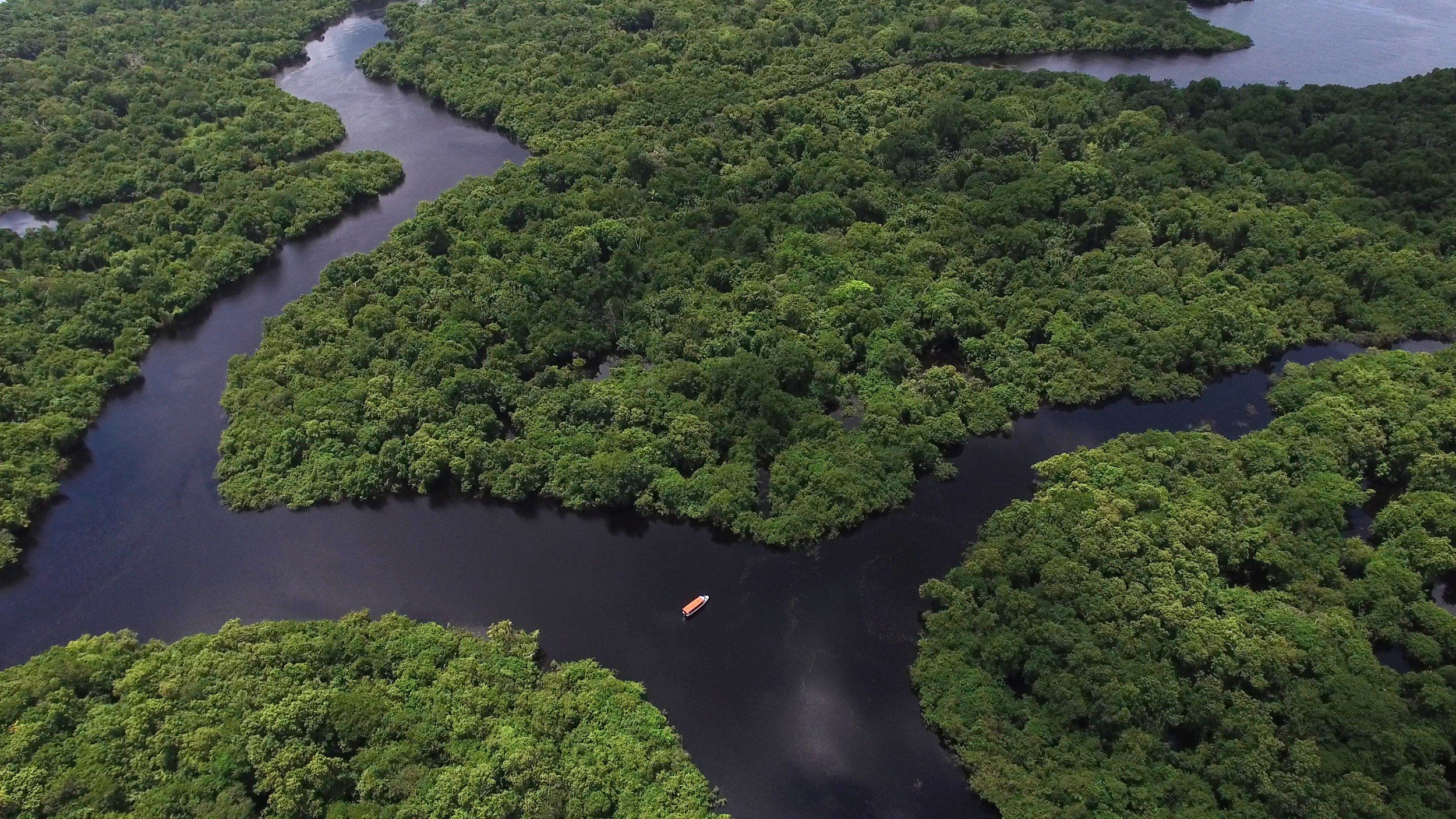 O presidente e a Amazônia, por Evaristo de Miranda