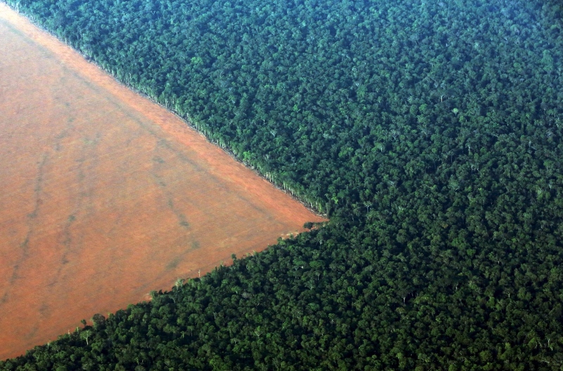 Novo Código Florestal pode aumentar o desmatamento na Amazônia
