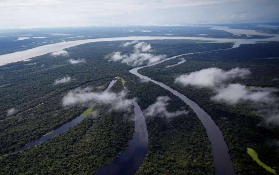 Corrida ilegal pelo ouro está destruindo a Amazônia, diz estudo