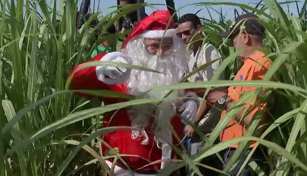 Ventania atinge balão e Papai Noel cai em canavial, em São Paulo