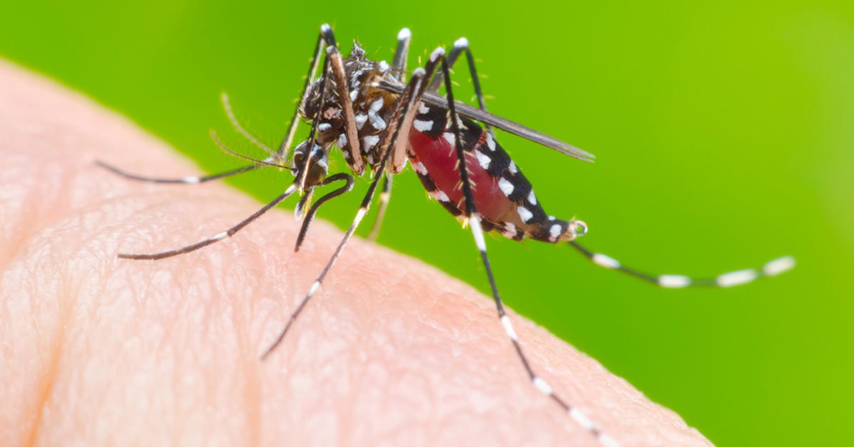 Acre é o terceiro estado do país com mais casos de dengue, aponta Ministério da Saúde