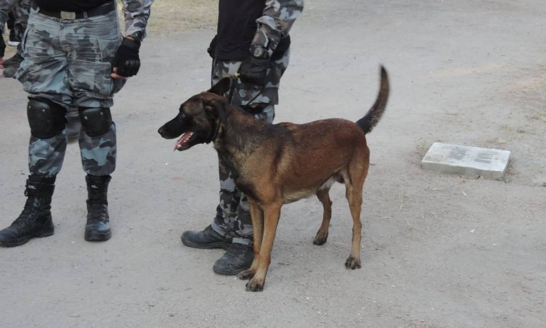 Agentes encontram 500 euros, alguns dólares, pesos e ienes com Pezão durante vistoria em cadeia