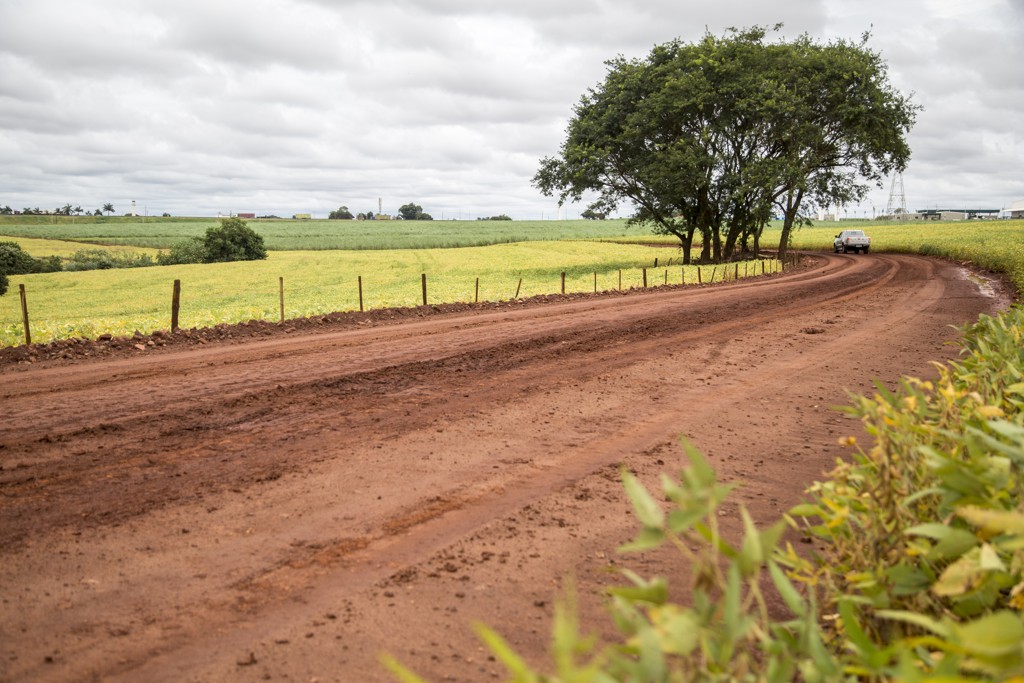 Opinião: “O Brasil e a nobre missão de alimentar o mundo”