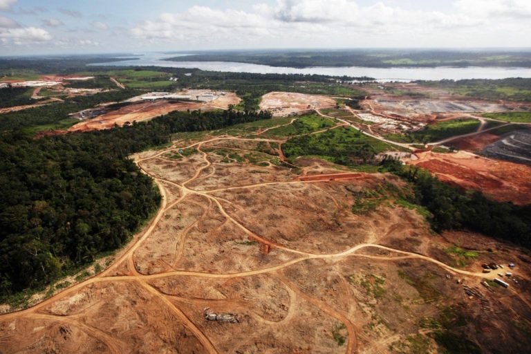 Amazônia está sendo transformada em Cerrado, diz Carlos Nobre