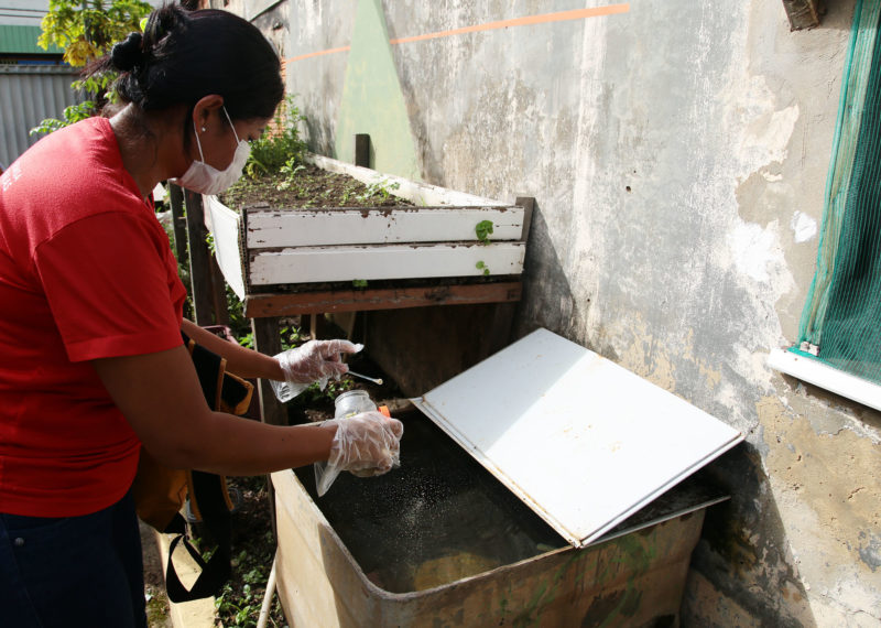 Semsa realiza arrastão contra o Aedes no bairro Cidade Nova