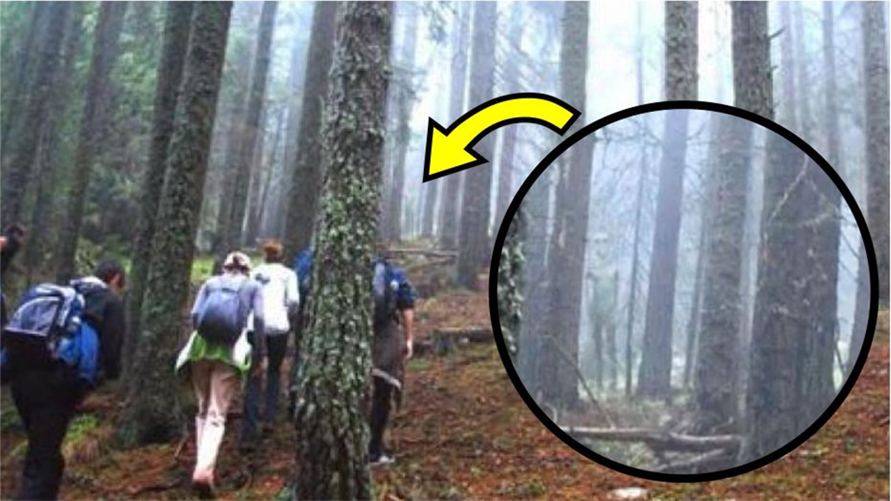 Turistas tiram fotos em diferentes locais no mundo e o que eles encontram é surpreendente